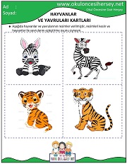 Hayvanlar ve Yavruları Eğitici Kartları